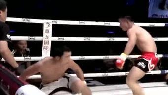 日本柔术视频高清视频,日本柔术实战技巧与策略深度解析