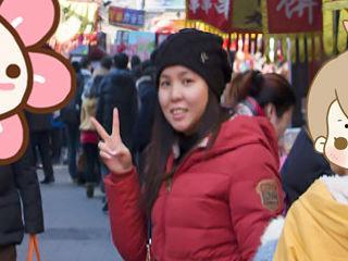 怡红院怡红院视频,揭秘古代园林中的繁华与风情